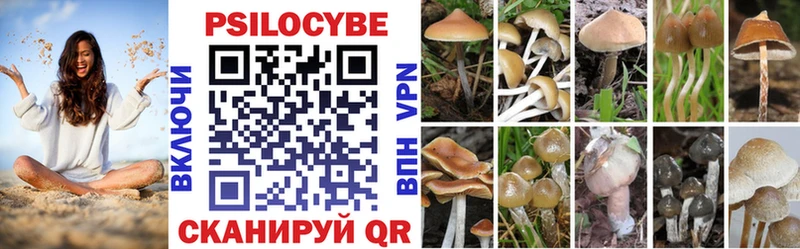 Галлюциногенные грибы мицелий  Чусовой 
